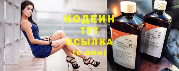 прущие грибы Медвежьегорск