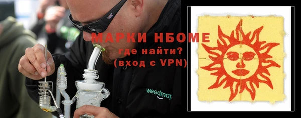 прущие грибы Медвежьегорск