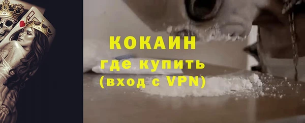 прущие грибы Медвежьегорск