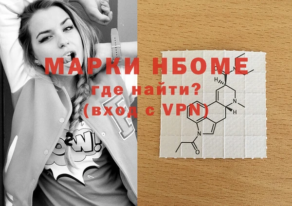 прущие грибы Медвежьегорск
