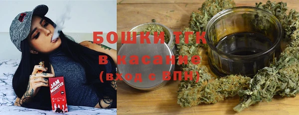 прущие грибы Медвежьегорск