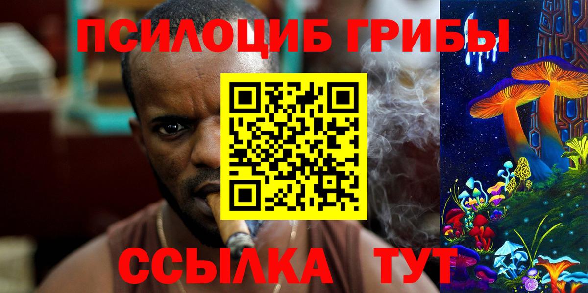 Псилоцибиновые грибы Psilocybe Краснодар
