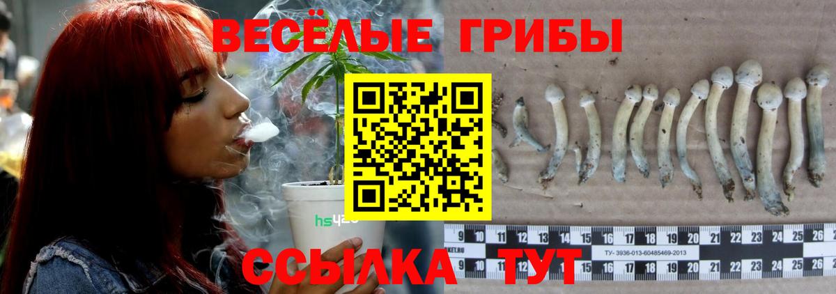 где найти наркотики  Вход с VPN  Краснодар  Псилоцибиновые грибы Magic Shrooms 